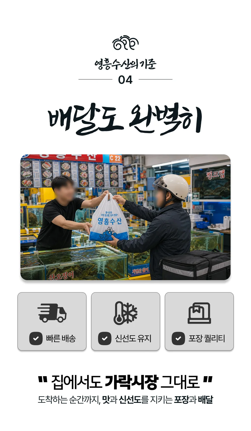 도다리+참돔+광어+연어